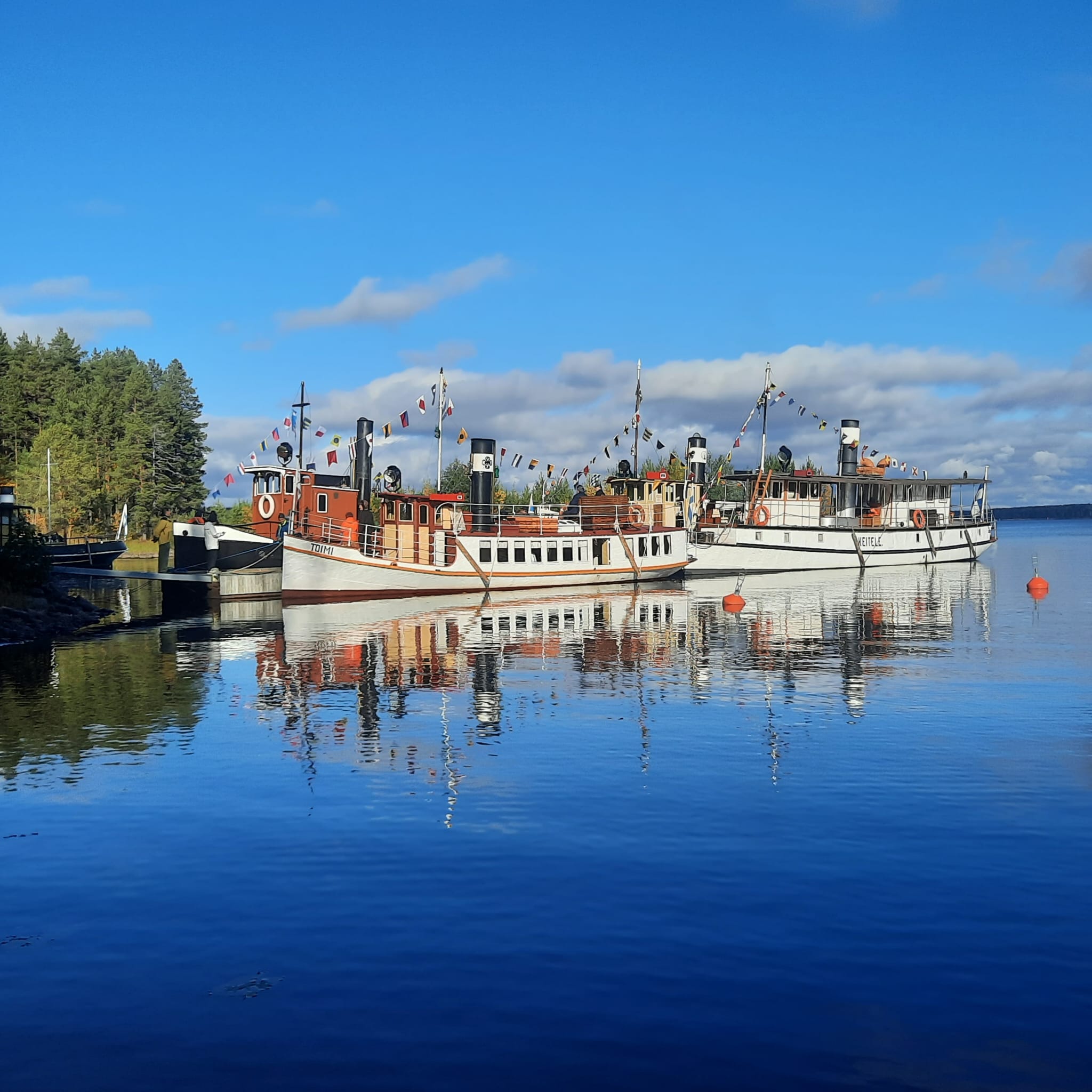 Karvalakkiregatta (2)